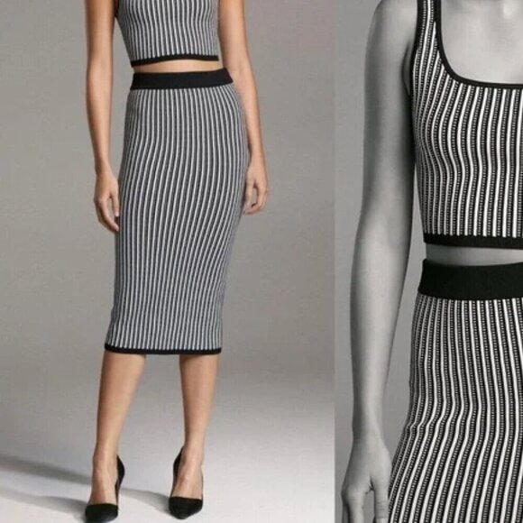 Aritzia Dresses & Skirts - Aritzia Babaton Sculpt Knit Bodycon Tube Midi Skirt Black White Medium